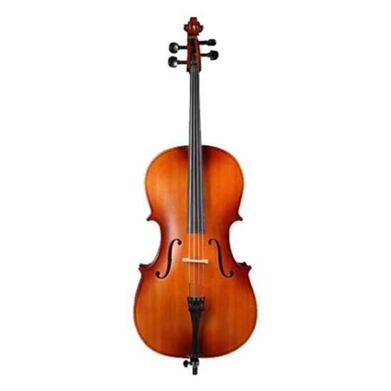 图片 Corelli成人大提琴   C-1